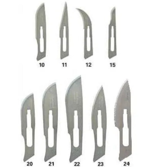 Scalpel blades - different sizes - expmstore.com