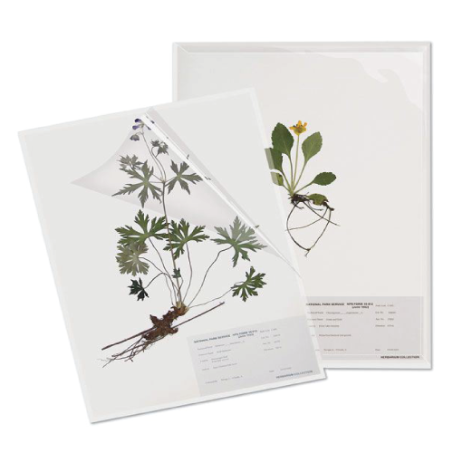 Herbarium Specimen Sheet Protector Pkg 25 - expmshop