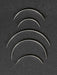 Pack of 12 curved needles (different sizes) - expmstore.com